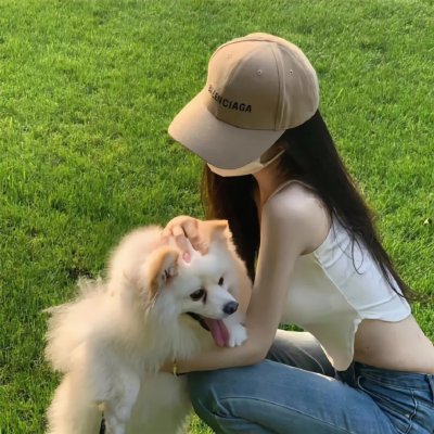 与鲨同泳