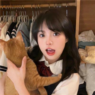 山道弯弯